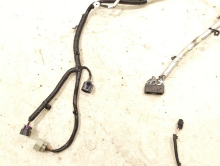 Chevrolet 22845506, 816509533 CORVETTE Convertible (C7) 2016 Harness