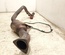 Porsche 970.113.350.11, 970.113.350 / 97011335011, 970113350 PANAMERA (970) 2012 Catalytic Converter - Thumbnail 6